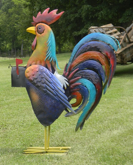 Rooster_5