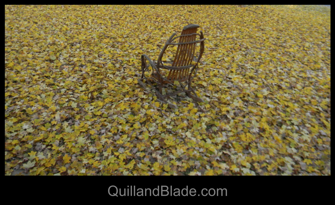 Chair_and_leaves