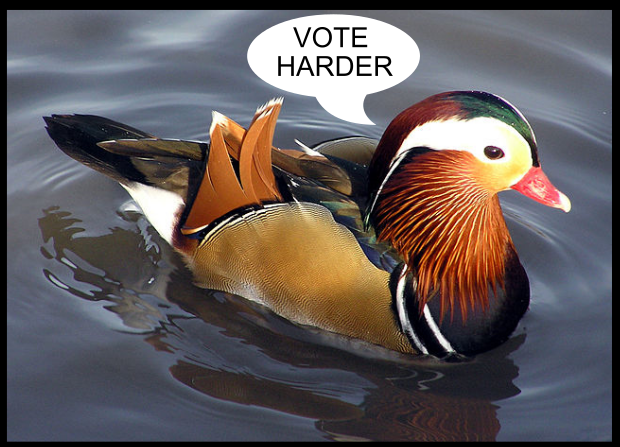 duck vote